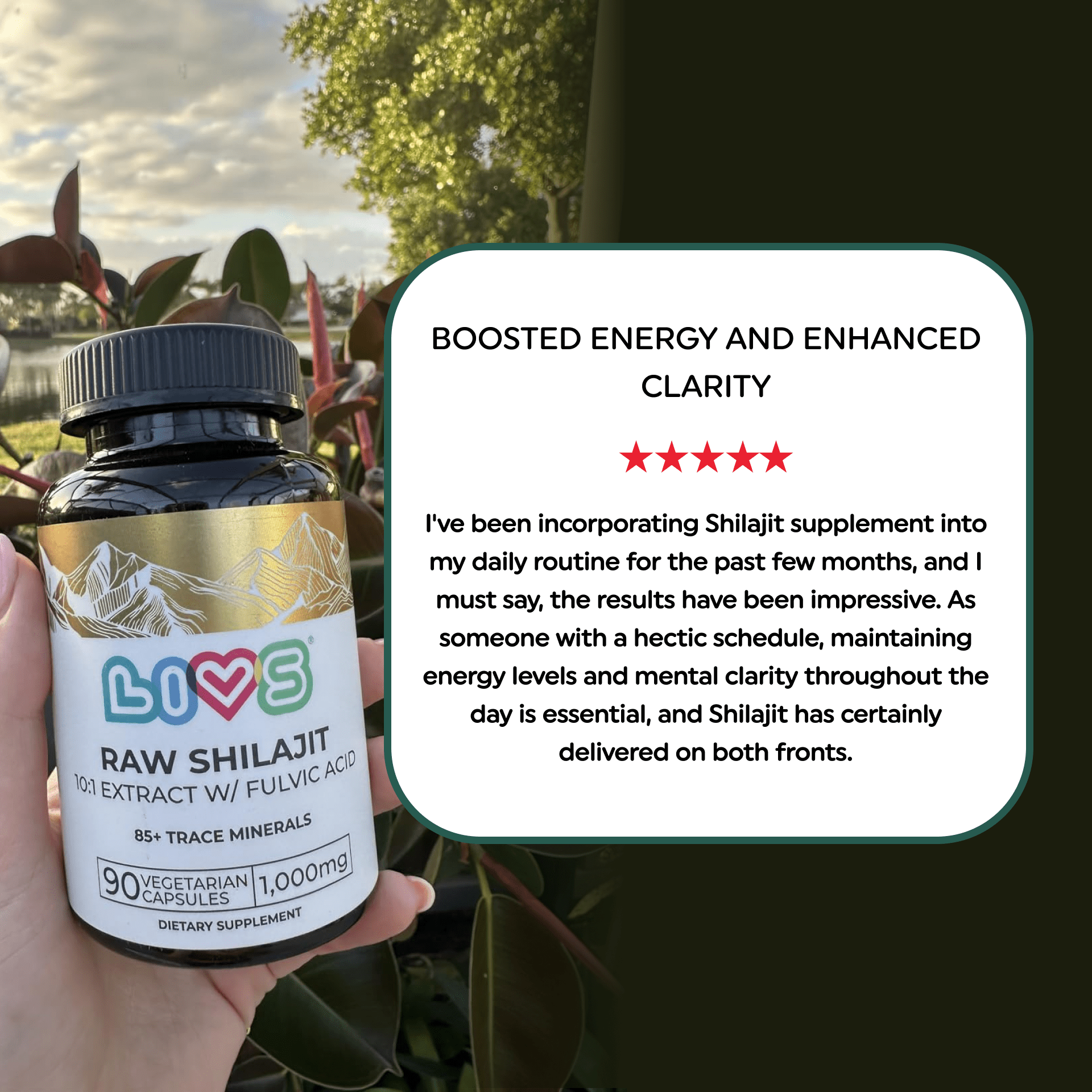 shilajit raw gummy