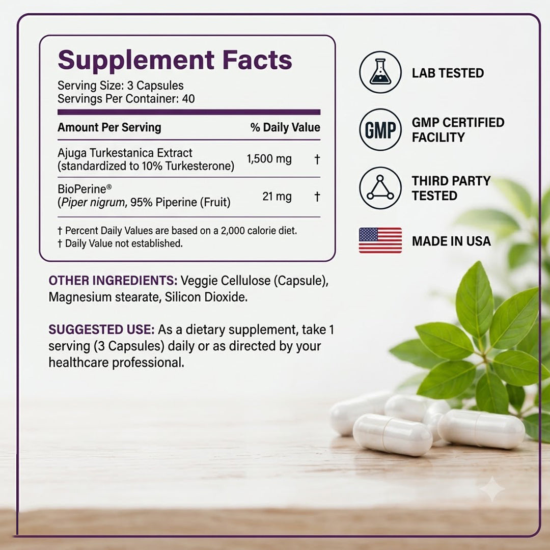 High potency phytoecdysteroid supplement