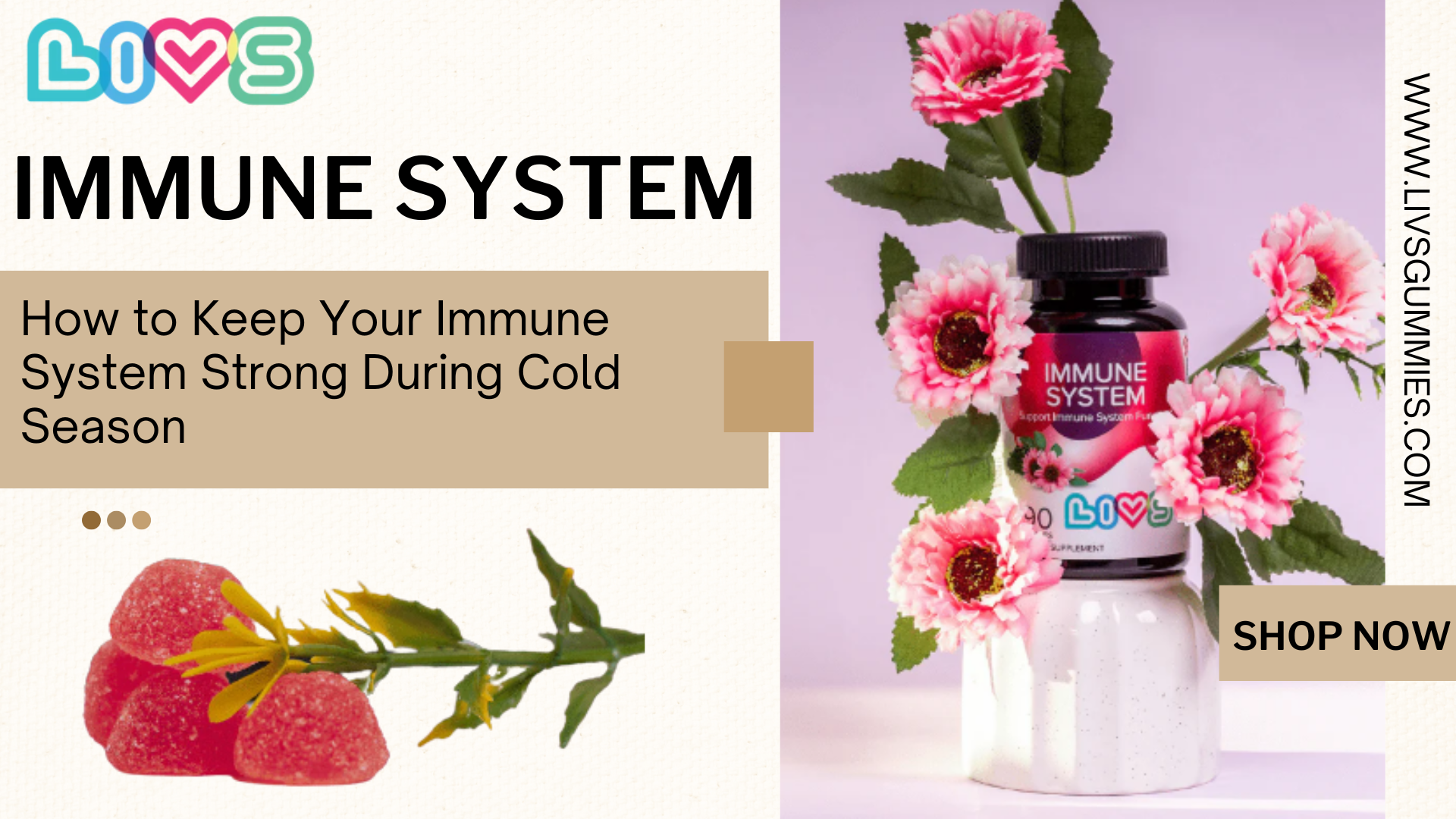 Immune Support Gummies