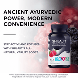 Gomitas de Shilajit image 2
