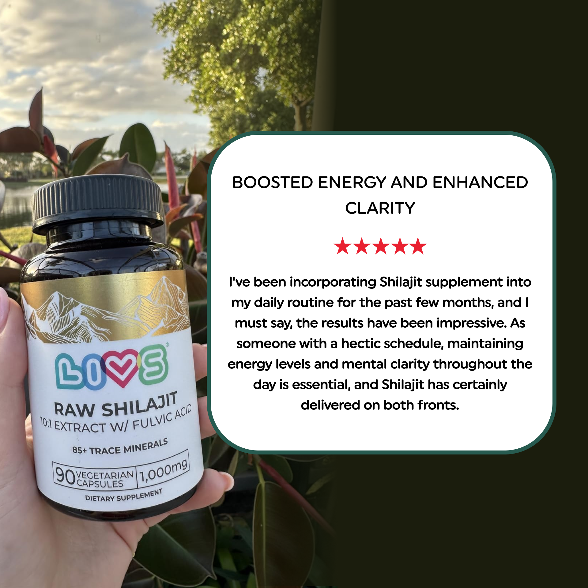 Raw Shilajit LIVS Vitamins